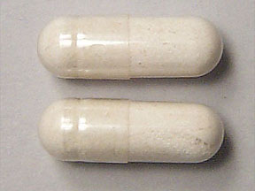 Acidophilus