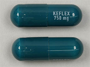 Cephalexin